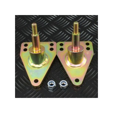 PAIR OF LOWERED TOP MOUNT REAR SHOCKS ABSORBER