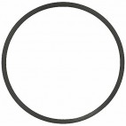THERMOSTAT SEAL