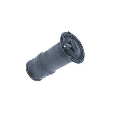 AIR SPRING REAR P38