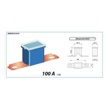 MAIN FUSE 100A BLUE