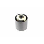 Alemman tukivarren pusla, Discovery