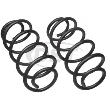 COIL SPRINGS, Moog