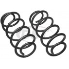 COIL SPRINGS, Moog