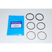 Brake Caliper Seal Kit, Land Rover 110/130 01-