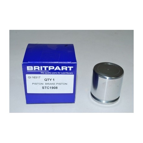 Rear Brake Caliper Piston D2 P38