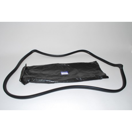 Rear Window weatherstrip, Discovery