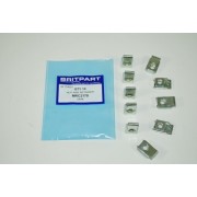 Door Hinge Captive Nut 5/16UNF