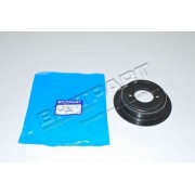 Coilspring Mounting plate 110 rear