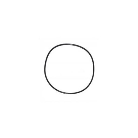 Sealing Ring, 119.5 x 3, Rear Axle, Freenlander 2