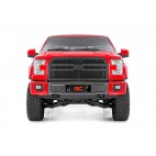 Ford MESH GRILLE
