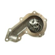 WATER PUMP 300TDI QUINTON HAZEL