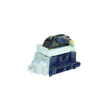 IGNITION MODULE + COIL