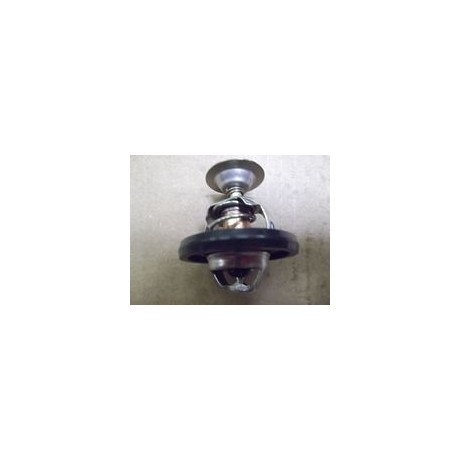 termostat 300Tdi (78 graderree)