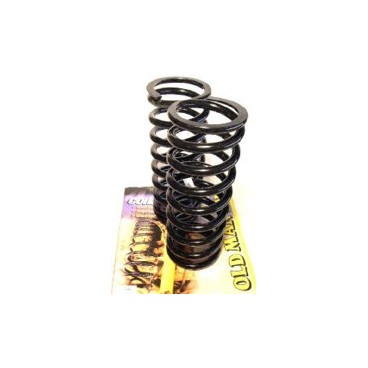 COIL GM CAPTIVA / OPEL