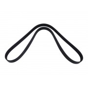 Fan Belt 
