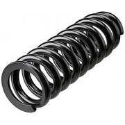 Coil Spring - Front 1pc.