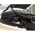 Hood Support struts - Hilux Revo
