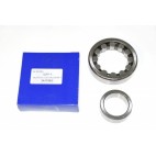 Halfshaft Bearing