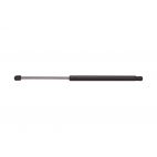 Trunk lift support