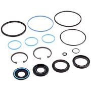 Steering gear rebuild kit