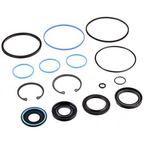 Steering gear rebuild kit