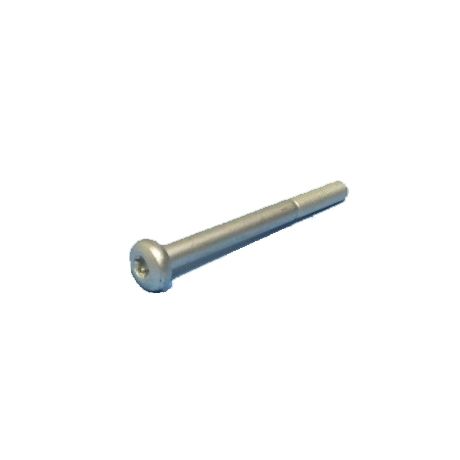 Bolt M10 x 110 Torx