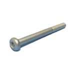 Bolt M10 x 110 Torx