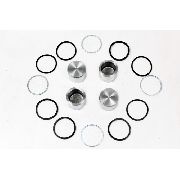 FRONT CALIPER PISTON KIT DEFENDER UP TO 1991 / DISCO I