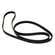 Serpentine Belt