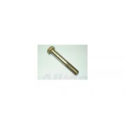 Rear Lower Controlarm axle side bolt