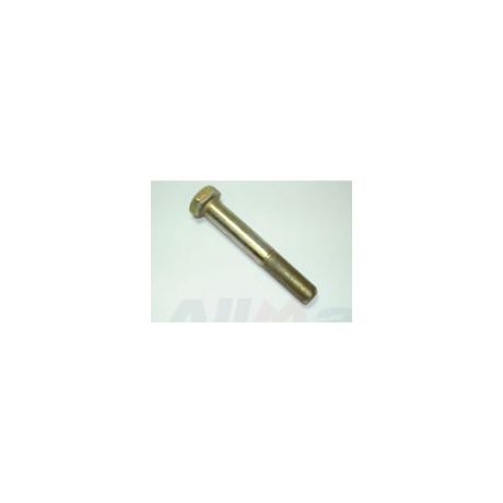 Rear Lower Controlarm axle side bolt