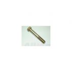 Rear Lower Controlarm axle side bolt