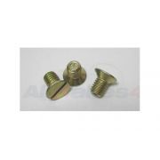 Brake Drum Screw