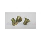 Brake Drum Screw