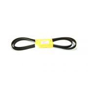 Serpentine belt