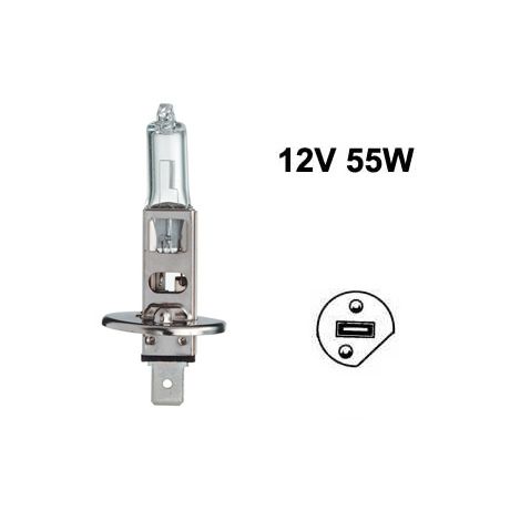 BULP H1 12V/55W