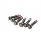 Flywheel Bolt TD5