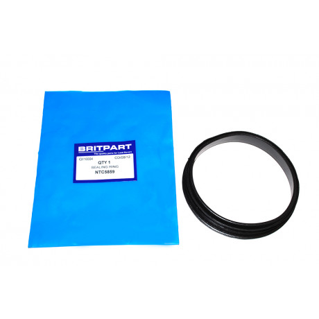 Fuel pump seal