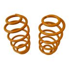 REAR RAPTOR 4X4 SPRINGS WRANGLER TJ +5/6 CM