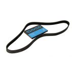 Serpentine Belt 91-94 YJ 4.0 with powersteering, no AC
