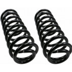 Rear HD sprig pair Moog