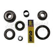 Rear Diffrential Bearing Overhaulkit 