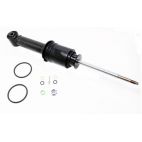 Shock Absorber, Rear, Range Rover Sport