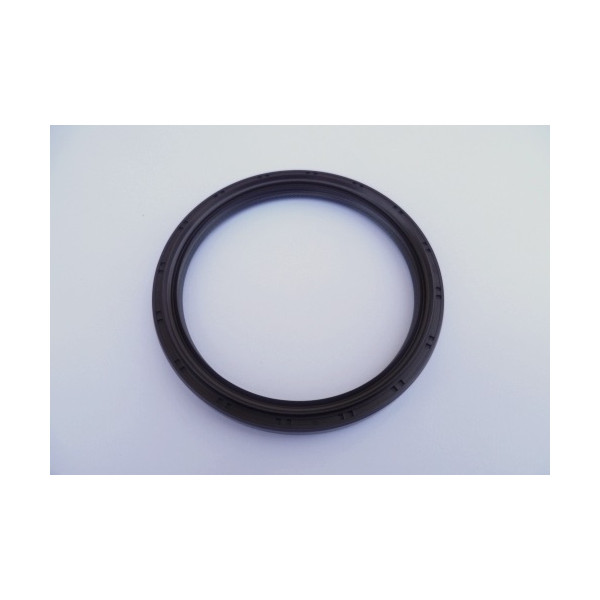 Crankshaft Shaft Seal Rear