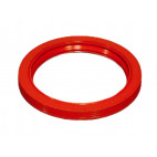 Crankshaft Rear Seal