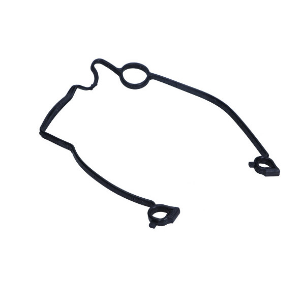 Oil Pump Gasket