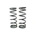 HD Front Springs (light load rear)