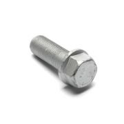 300Tdi CrankShaft Pulley bolt