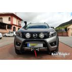 Lokasuojan levike, Nissan Navara D23/NP300 AD Blue