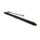 Tail gate - Trunk - lifter / damper electric